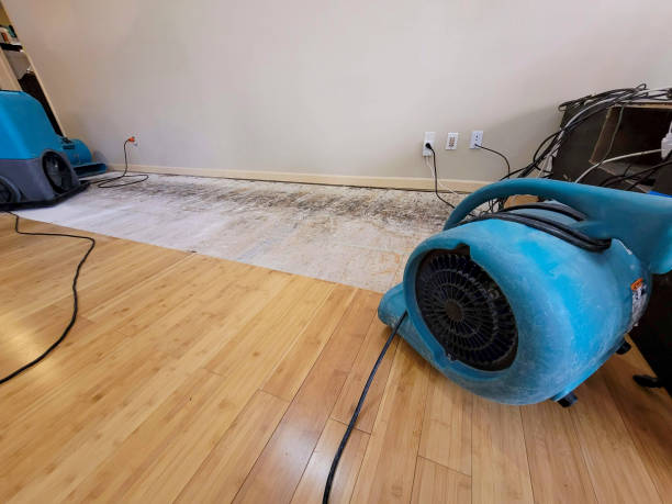 Professional Burst Pipe Water Damage technician working in Man, WV